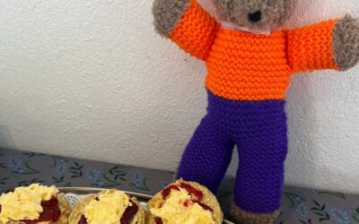 Annual Cream Tea at Briddlesford Farm